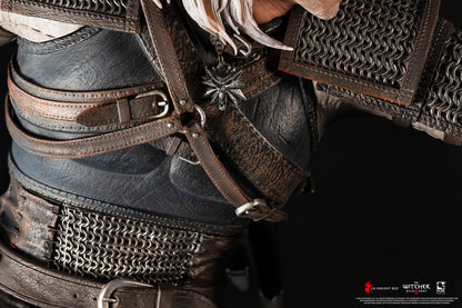 The Witcher : Geralt Vs Eredin 1/6 Scale Diorama